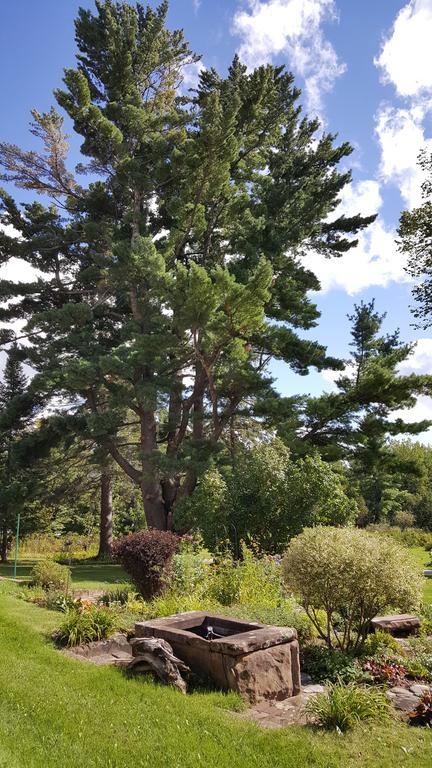 بايفيلد Pinehurst Inn Bed & Breakfast المظهر الخارجي الصورة
